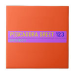 pescadora sreet  Tiles