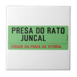 presa do rato     juncal  Tiles