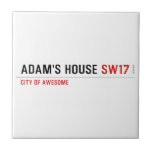 Adam's House  Tiles