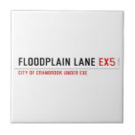 Floodplain lane  Tiles