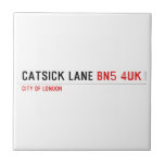 Catsick Lane  Tiles