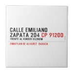 CALLE EMILIANO  ZAPATA 204  Tiles