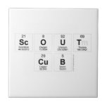 SCOUT
 CUB  Tiles