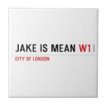 Jake is mean  Tiles