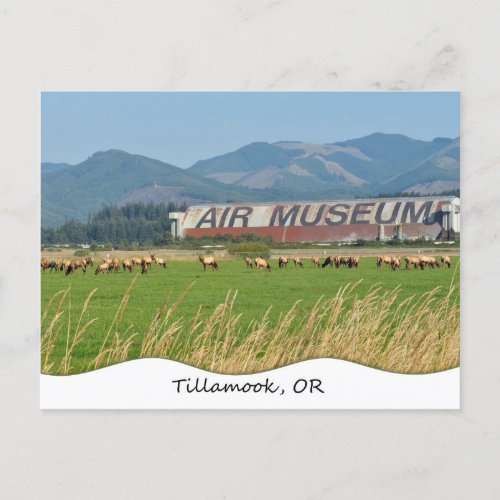 Tillamook OR Postcard