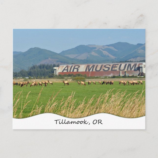 Tillamook, OR Postcard (Front)