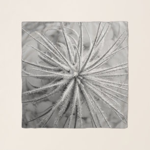 Tillandsia tectorum scarf