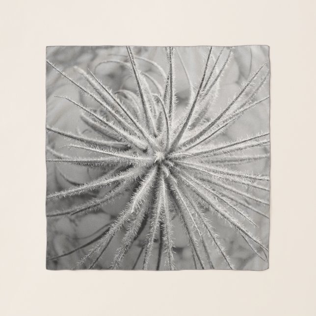 Tillandsia tectorum scarf (Front)