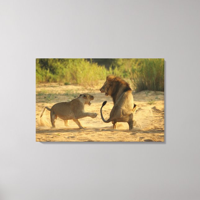 Timbavati River, Kruger National Park, Limpopo Canvas Print (Front)
