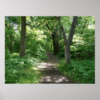 Timber Creek Nature Center Poster