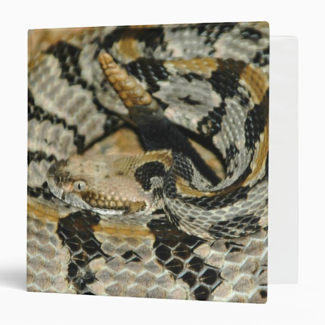 Timber Rattlesnake Coil 3 Ring Binder (Front/Inside)