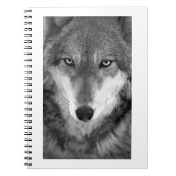 Timber Wolf#1-notebook Notebook by rgkphoto at Zazzle