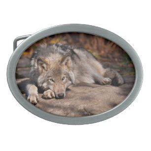 Timber Wolf Belt Buckle