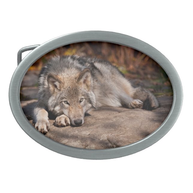Timber Wolf Belt Buckle (Front)