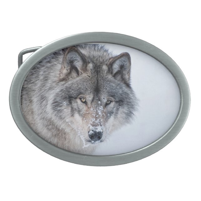 Timber Wolf Belt Buckle (Front)