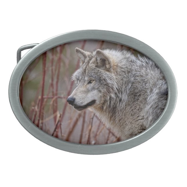 Timber Wolf  Belt Buckle (Front)
