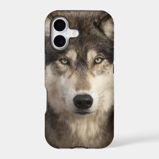Timber wolf by Jim Zuckerman iPhone 17 Case