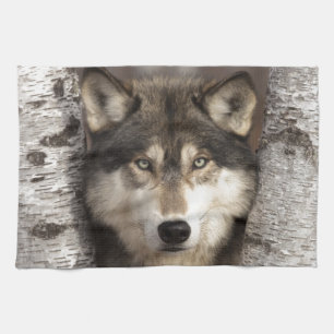 Timber wolf by Jim Zuckerman Towel