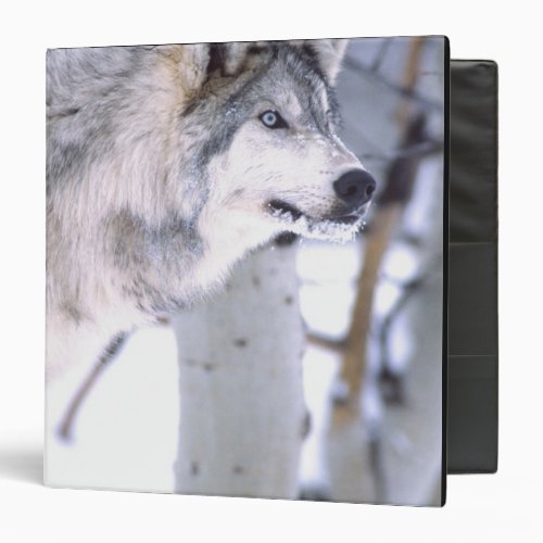 Timber Wolf Canis lupus Movie Animal Utah Binder