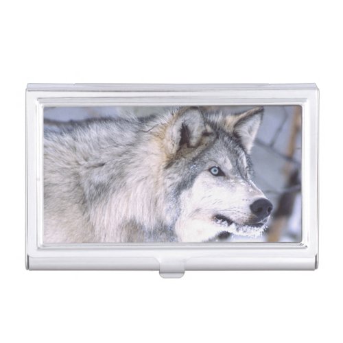 Timber Wolf Canis lupus Movie Animal Utah Case For Business Cards
