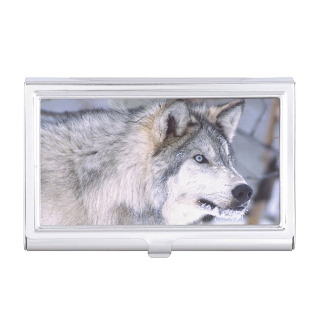 Timber Wolf, Canis lupus, Movie Animal Utah) Case For Business Cards (Front)