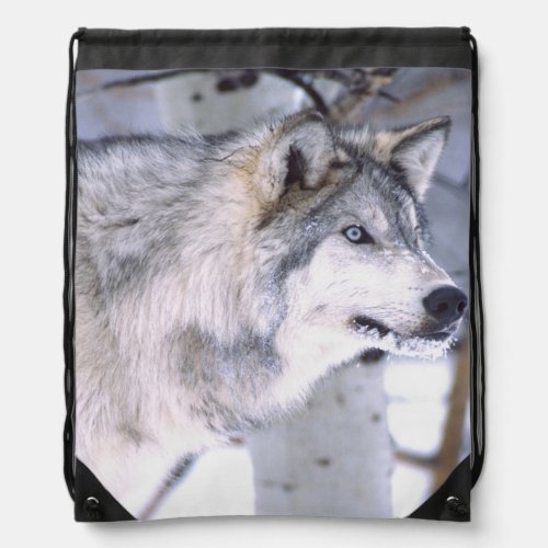 Timber Wolf Canis lupus Movie Animal Utah Drawstring Bag