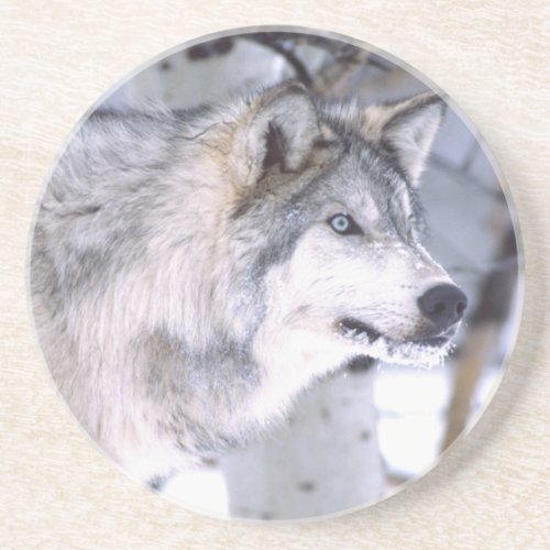 Timber Wolf Canis lupus Movie Animal Utah Drink Coaster