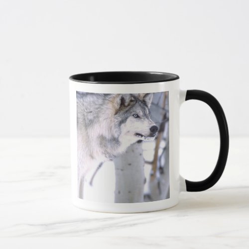 Timber Wolf Canis lupus Movie Animal Utah Mug