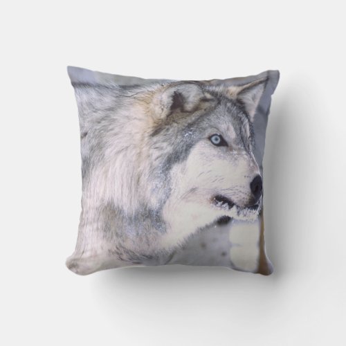 Timber Wolf Canis lupus Movie Animal Utah Throw Pillow