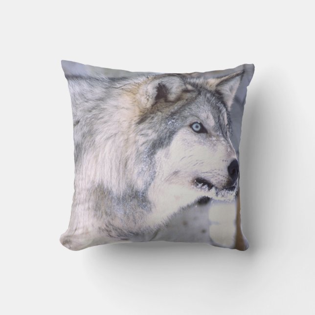 Timber Wolf, Canis lupus, Movie Animal Utah) Throw Pillow (Front)