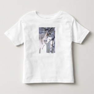 Timber Wolf, Canis lupus, Movie Animal Utah) Toddler T-shirt
