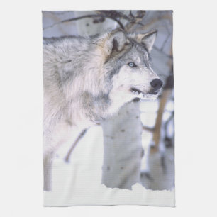 Timber Wolf, Canis lupus, Movie Animal Utah) Towel