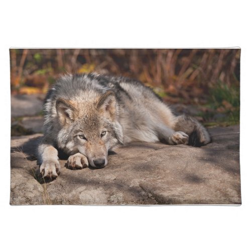 Timber Wolf Cloth Placemat