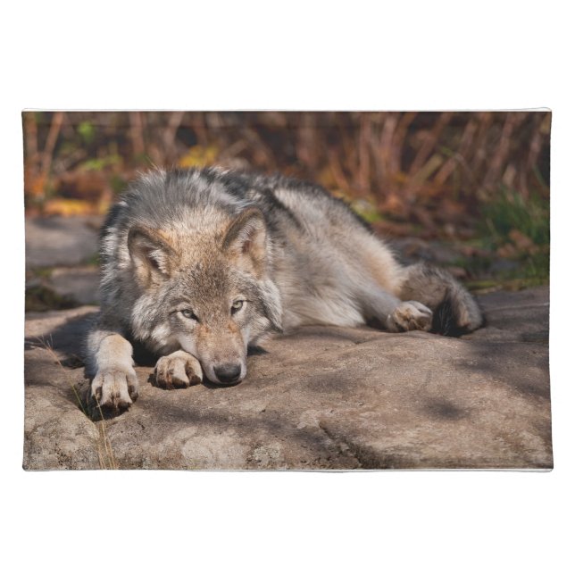 Timber Wolf Cloth Placemat (Front)