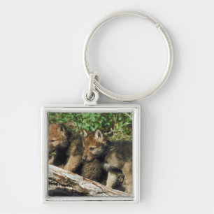 Timber wolf cubs keychain