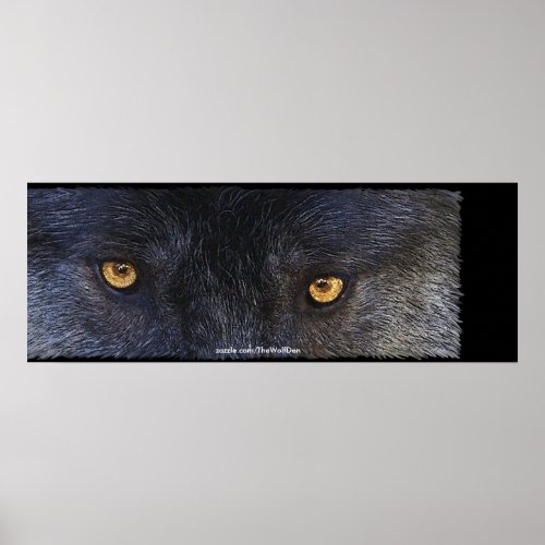Timber Wolf Eyes Wildlife Photo Art Poster