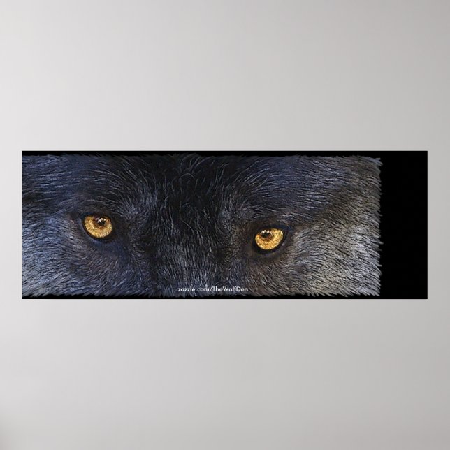 Timber Wolf Eyes Wildlife Photo Art Poster (Front)