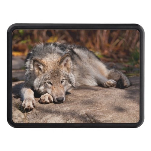 Timber Wolf Hitch Cover