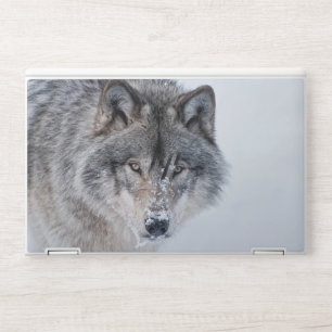 Timber Wolf HP Laptop Skin