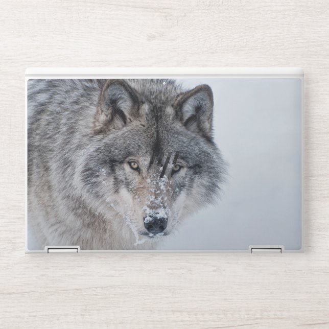 Timber Wolf  HP Laptop Skin (Front)
