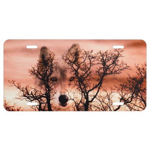Timber wolf in dusk sky license plate
