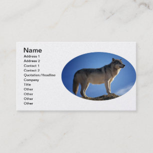 Timber Wolf in Montana - Big Sky Country Business Card