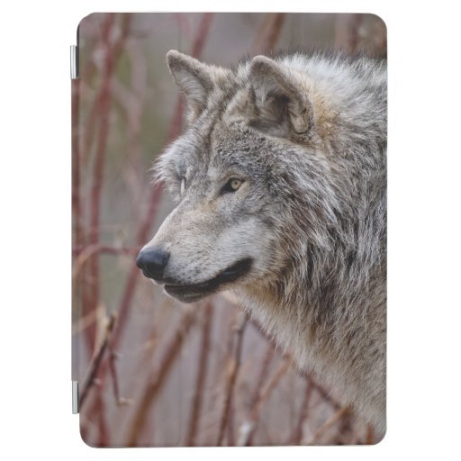 Timber Wolf  iPad Air Cover