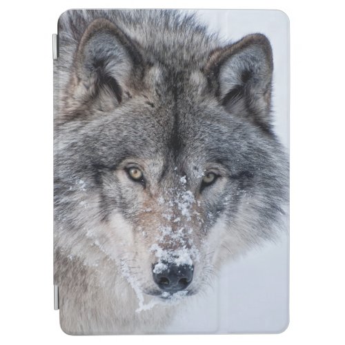 Timber Wolf iPad Air Cover