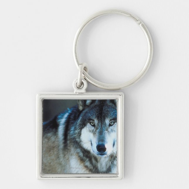 Timber wolf keychain (Front)