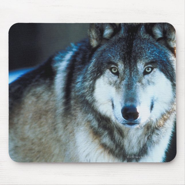 Timber wolf mouse pad (Front)