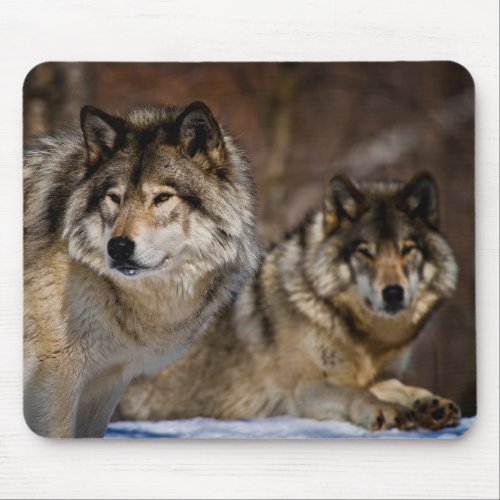 Timber Wolf Mouse Pad