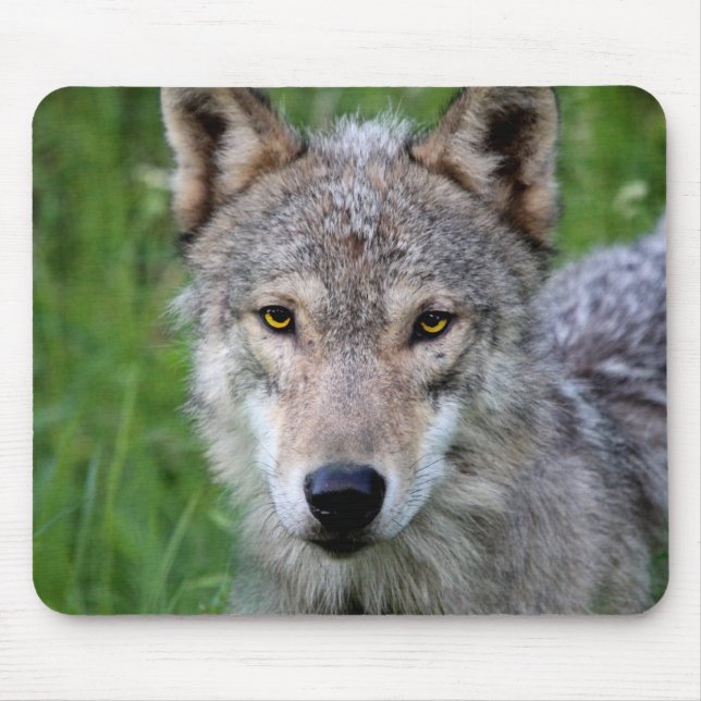 Timber Wolf Mouse Pad (Front)