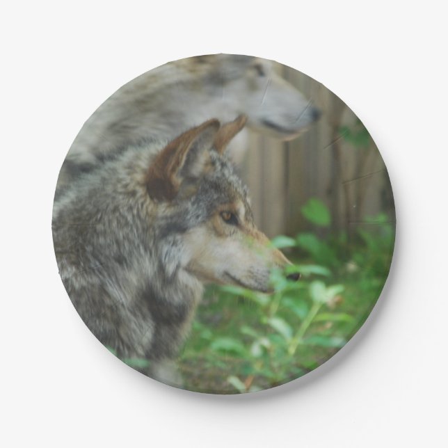 Timber Wolf Paper Plates (Front)