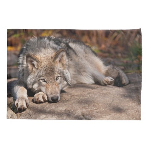 Timber Wolf Pillow Case